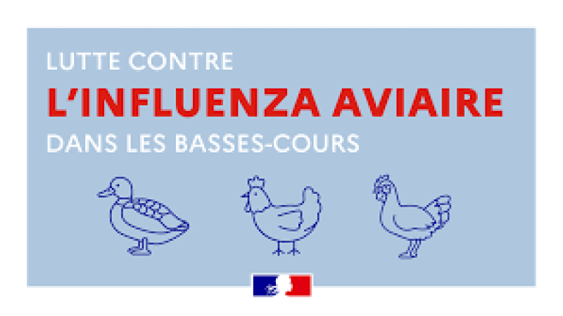 INFLUENZA AVIAIRE