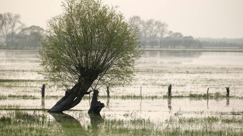 Plan de prévention Risques d'Inondation (PPRI)