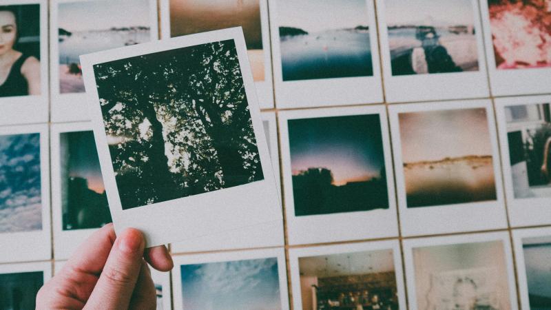 galerie photos
