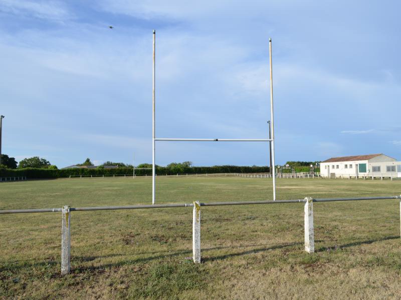 Terrain de rugby